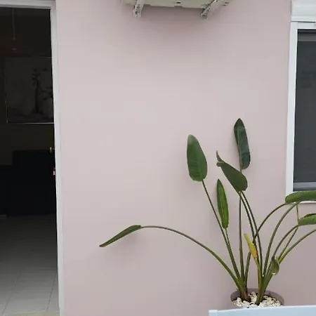 Apartment Fota's *